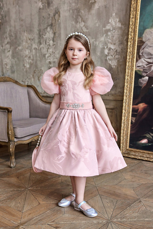 Crystal Pink Dress